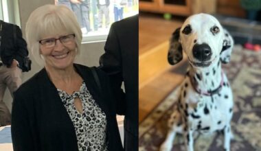 Missing Alberta senior found dead in Saskatchewan, RCMP say