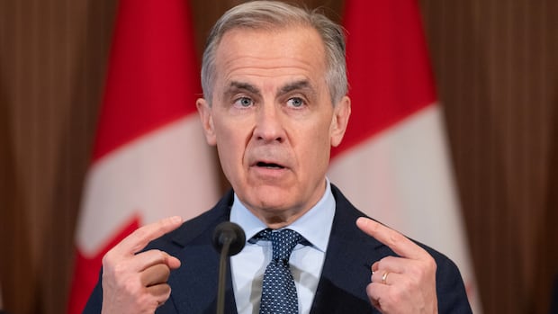 Carney says Canada's U.S. ties have become 'weaknesses' that must be corrected
