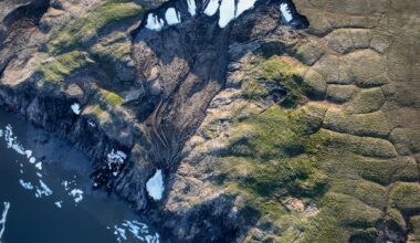 This northern Yukon island shows how thawing permafrost is transforming the Arctic