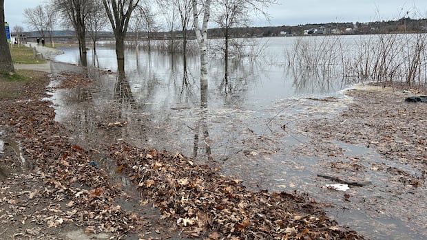 Water levels on the rise along N.B.'s lower St. John River