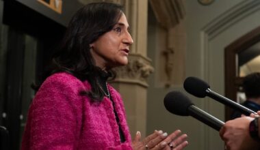 Ottawa has asked Israel to investigate Canadian's killing in Lebanon: Anand