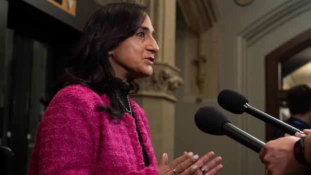 Ottawa has asked Israel to investigate Canadian's killing in Lebanon: Anand