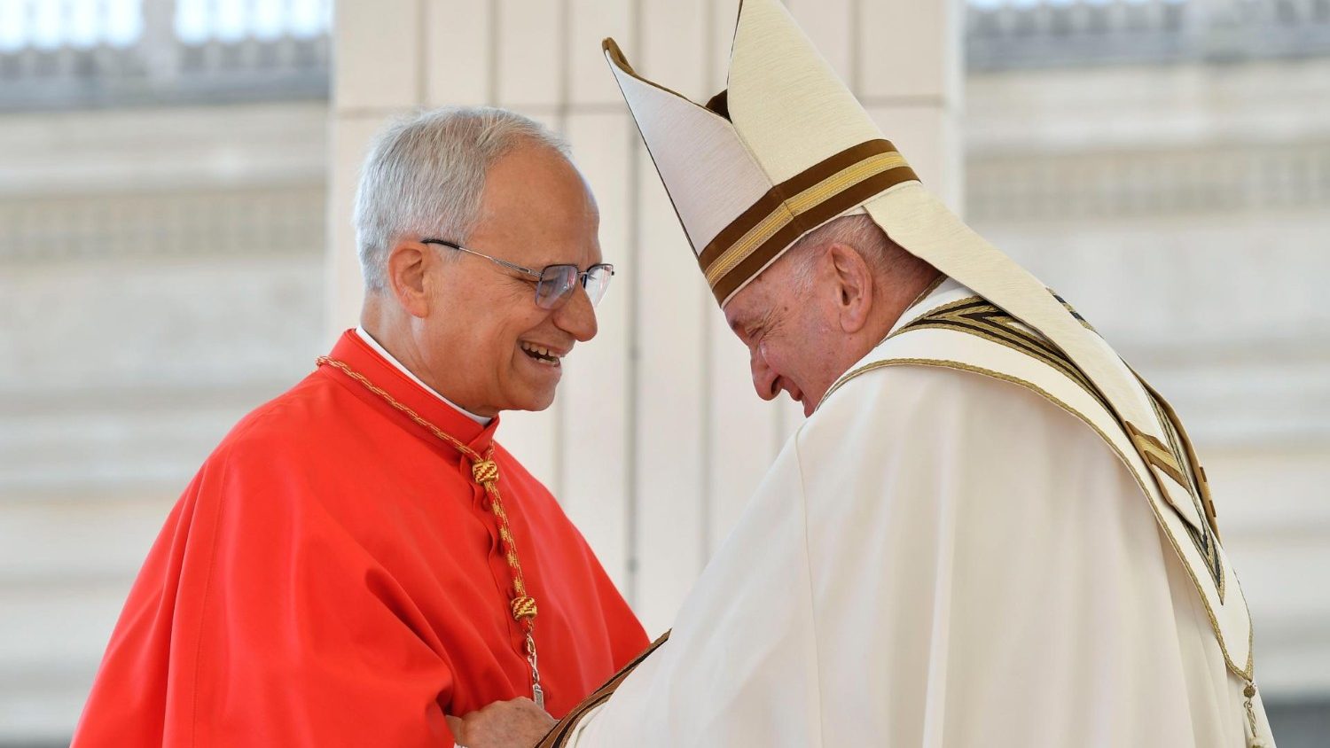 Pope Leo: 'Pope Francis was a devoted shepherd who touched so many hearts'