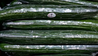 Why are veggies so expensive? Consumers crunched by climbing cucumber costs