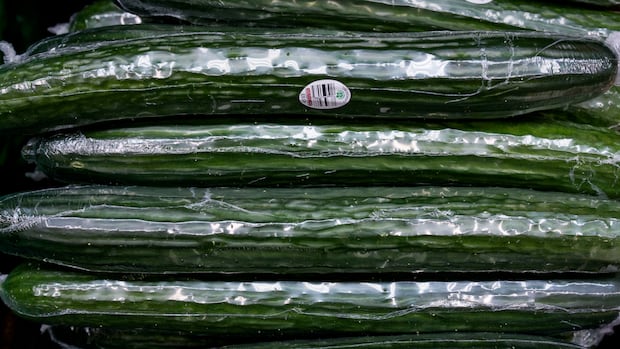 Why are veggies so expensive? Consumers crunched by climbing cucumber costs