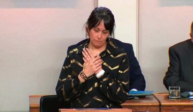 In tearful speech, N.L. tourism minister decries 'bullying' following AI controversy