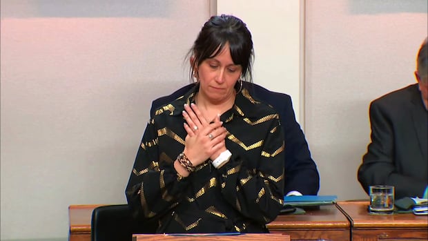 In tearful speech, N.L. tourism minister decries 'bullying' following AI controversy