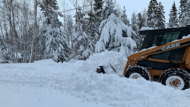 Sask. communities could see up to 50 centimetres of snow as major storm rolls in