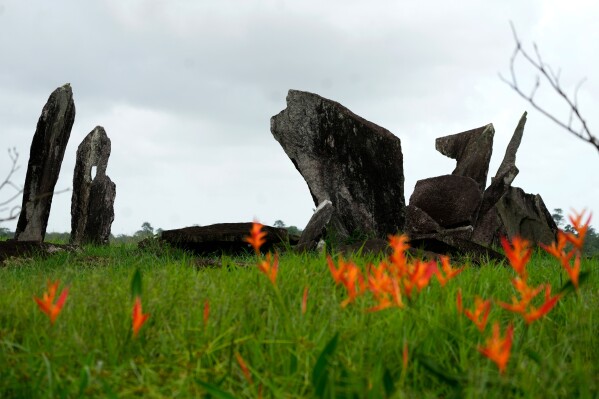 Grass and flowers surround the Archaeological Park of the Solstice, which some call the "Stonehenge of the Amazon" in Calcoene, Amapa state, Brazil, Friday, March 13, 2026. (AP Photo/Eraldo Peres)