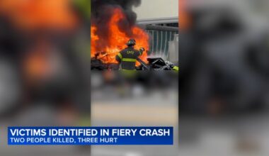 Chicago Heights car crash: Nacease Spring, Tyra Willingham killed in fiery car crash near Chicago Road, Joe Orr Road, police say