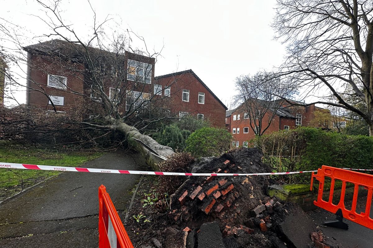 Fallen tree on Heaton Moor Road, Stockport after Storm Dave hit overnight