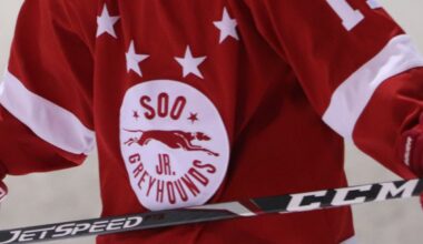 Game on? Hockey team booted from playoffs over messy locker room not done yet