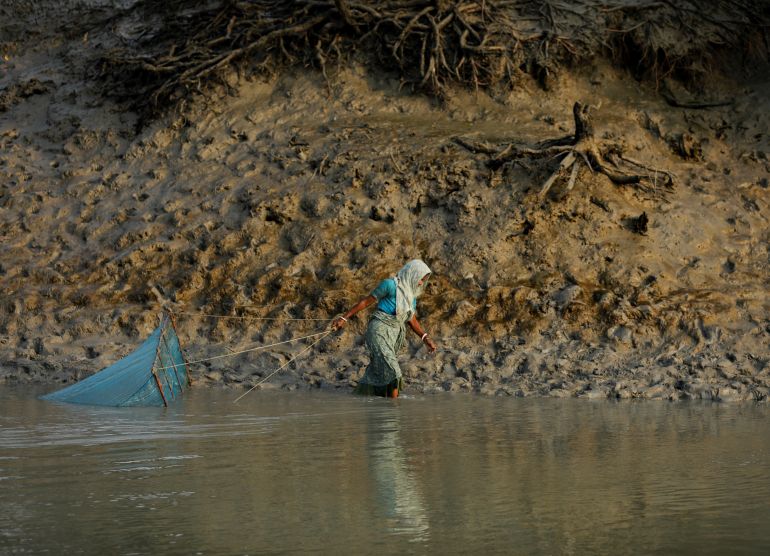 Sundarban