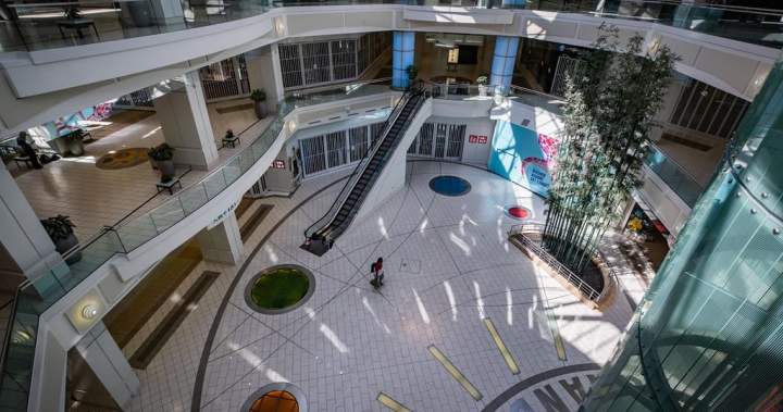 B.C. court awards $1.8M in damages for assault, wrongful arrest by Metrotown guards