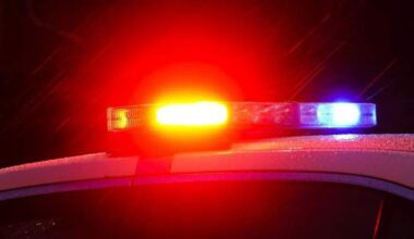 8 children killed in 2 domestic violence shootings in Louisiana: police - National