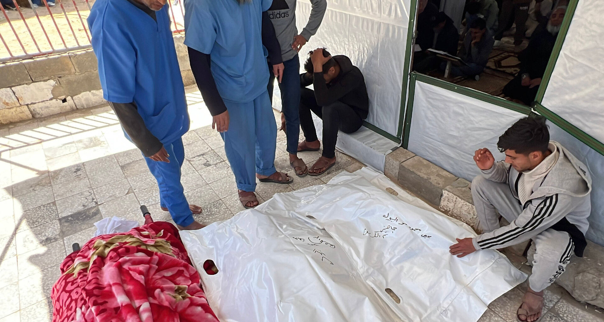 How bankers, bureaucrats and bystanders sustain Israel's genocide in Gaza