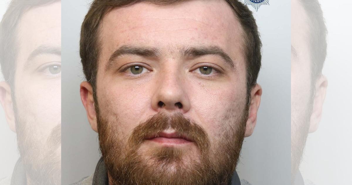 Owner of XL Bully that killed Warrington pensioner is jailed