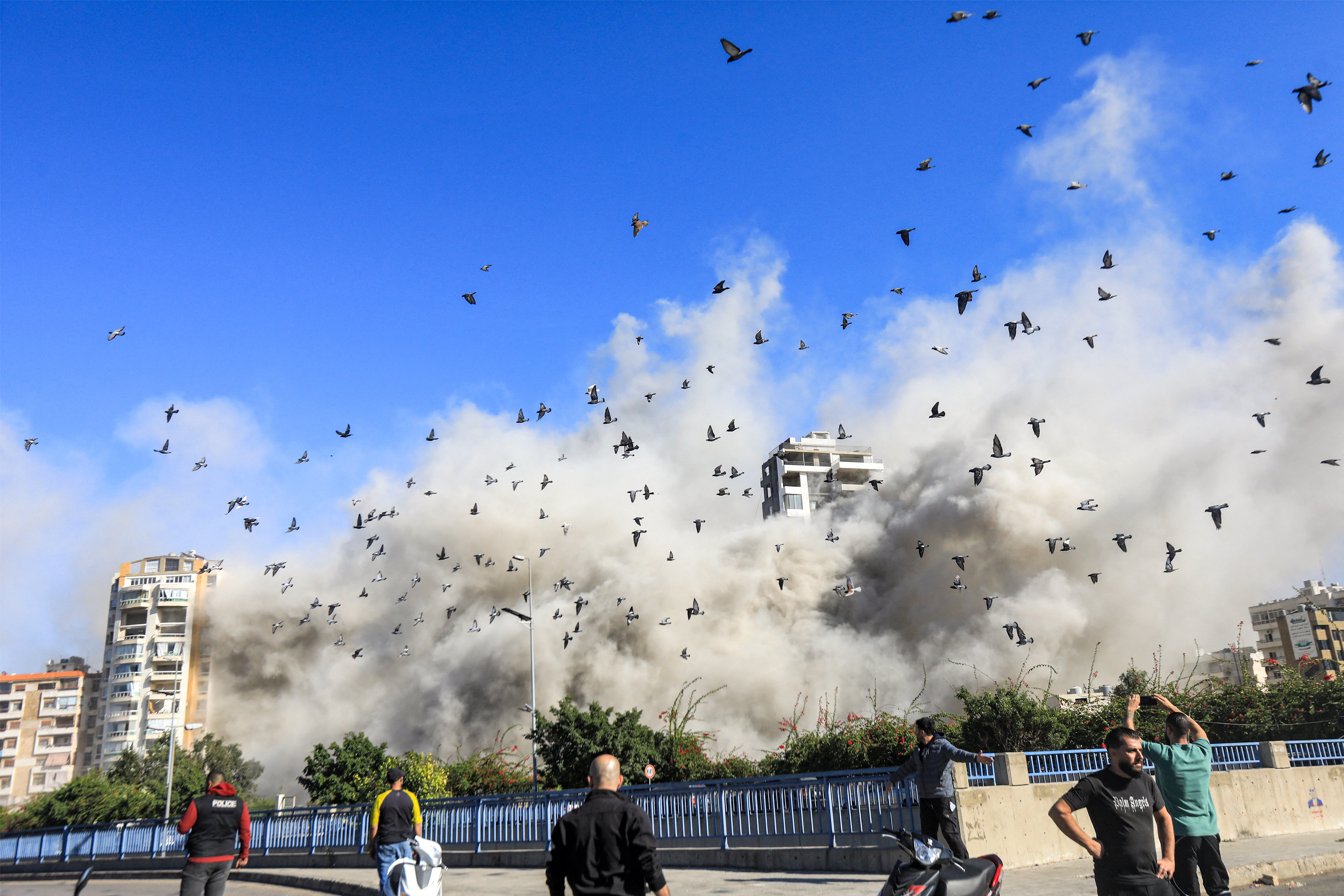 Ibrahim says his pigeons can sense when a drone is coming, and alert him to danger