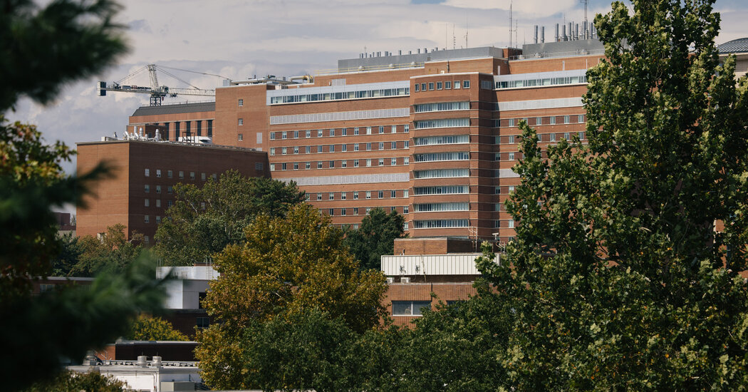 Pace of N.I.H. Funding Slows Further in Trump’s Second Year