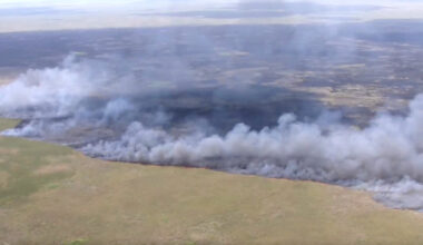 Wildfires in Georgia Destroy Homes and Set Off Evacuations