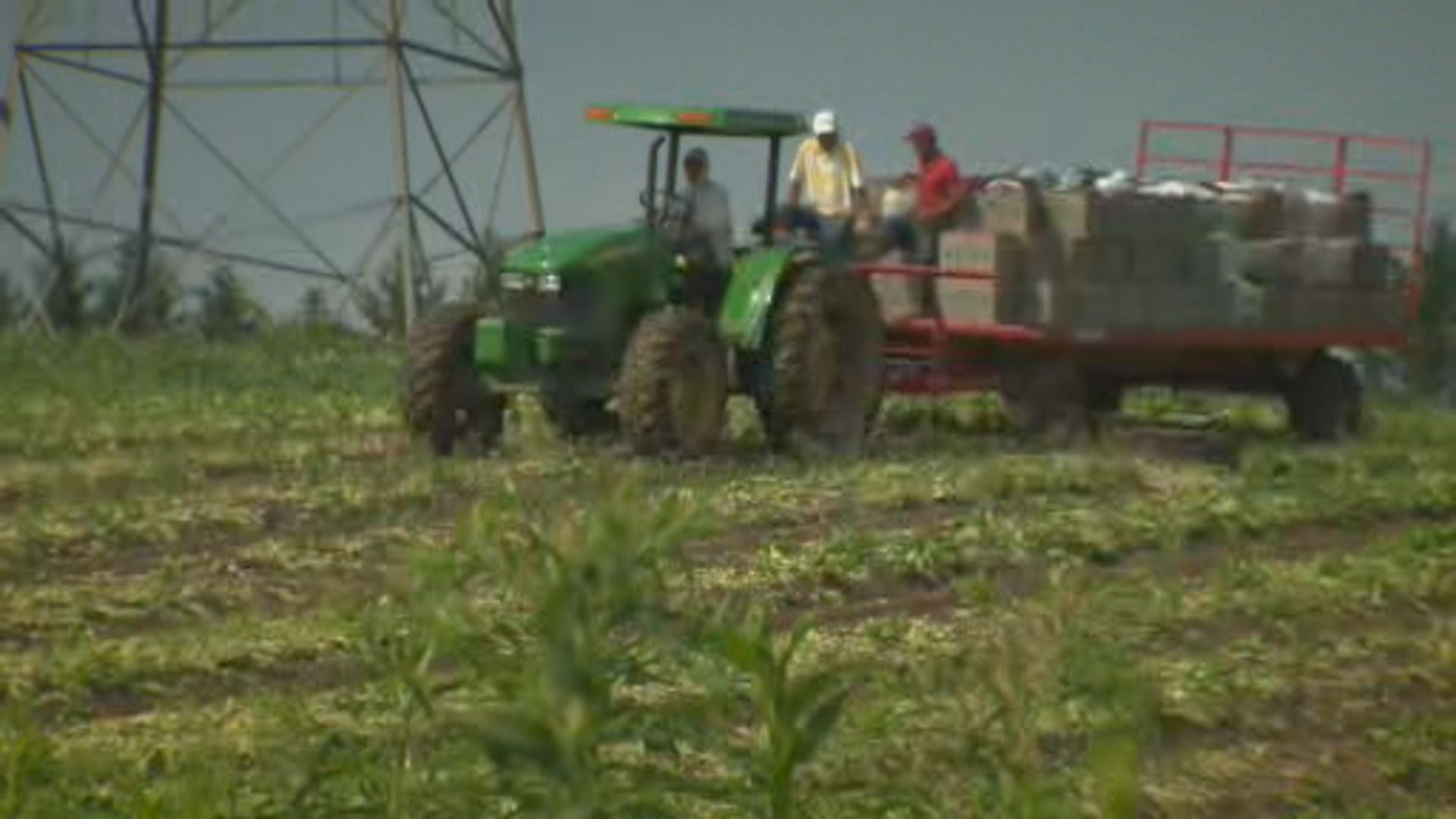 Click to play video: 'Canada’s temporary foreign worker program a ‘breeding ground’ for contemporary slavery: UN report'