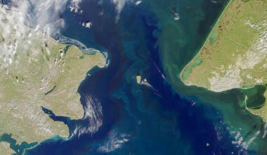 A New Idea to Save the AMOC? Dam the Bering Strait.