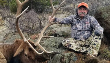 Big-Game Hunter From California Is Killed by Elephant in Gabon