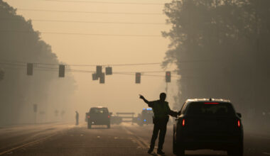 Wildfires Destroy Dozens of Structures in Georgia, Governor Says