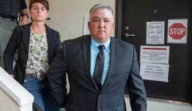 Man who hit wolf with snowmobile, took it to a bar and killed it gets probation