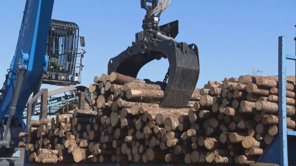 Click to play video: 'Canadian industries tense ahead of CUSMA deadline'