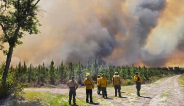Wildfires across Georgia and Florida destroy more than 50 homes and force evacuations