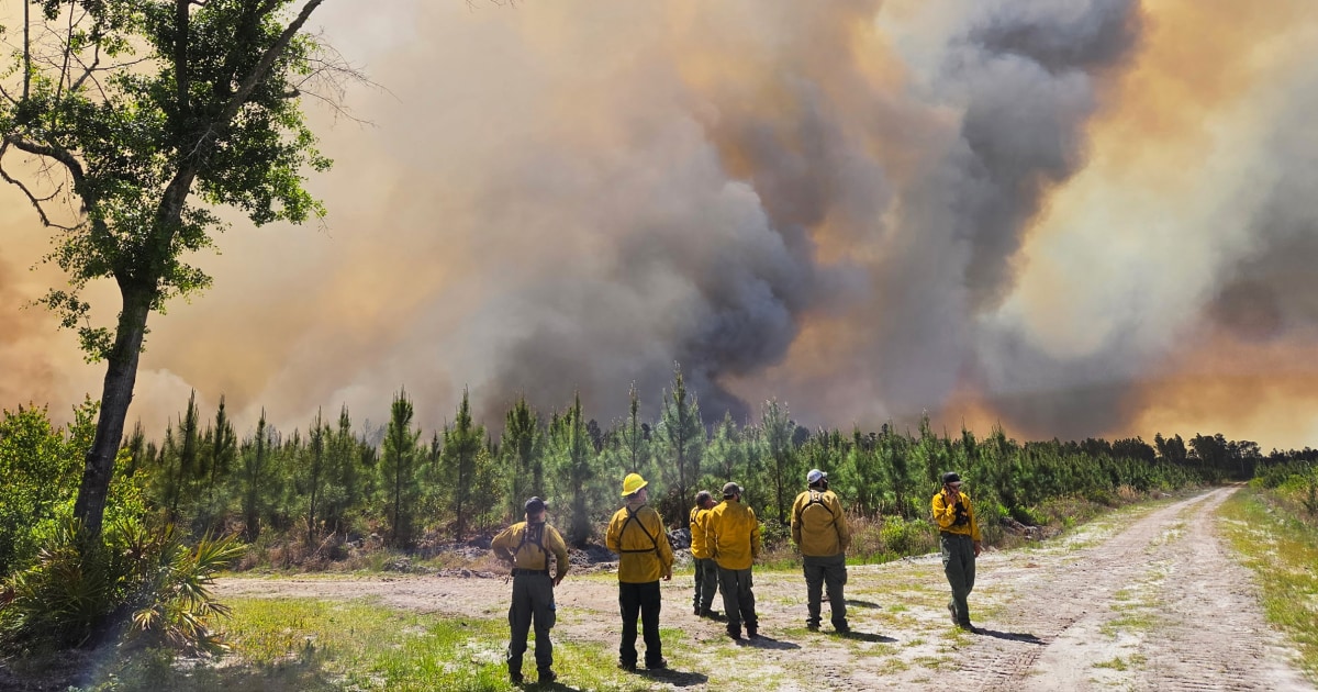 Wildfires across Georgia and Florida destroy more than 50 homes and force evacuations