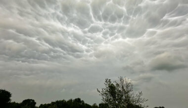 Powerful Storm Hits North Texas and Kills 2 as Thousands Remain Without Power