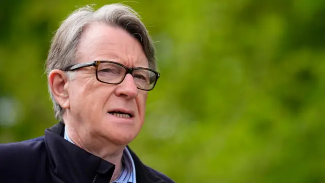 Lord Mandelson has grey hair swept to one side and is wearing glasses and a blue coat