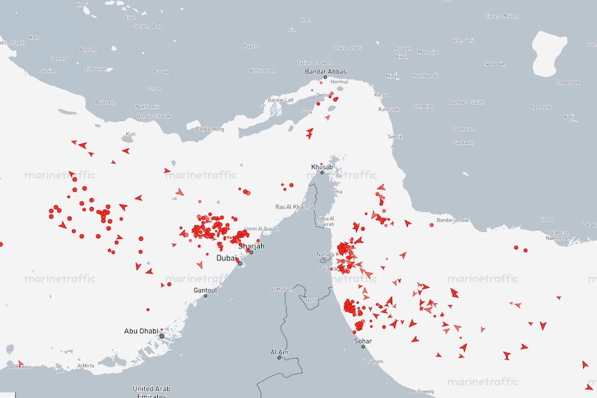 A greyscale map showing hundreds of red ship markers in the Strait of Hormuz, Persian Gulf and Gulf of Oman.