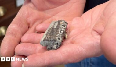 A small fossil cradled in the middle of two palms stretched out flat. It is greyish-brown, about the length of a finger, and shows 4 circles in a line on its side where teeth would have protruded.