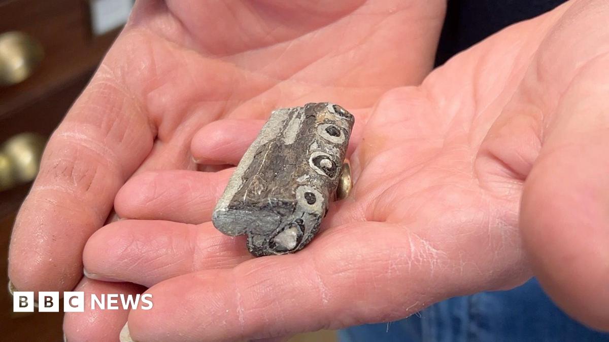 A small fossil cradled in the middle of two palms stretched out flat. It is greyish-brown, about the length of a finger, and shows 4 circles in a line on its side where teeth would have protruded.