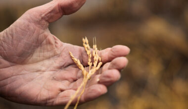 House Passes Farm Bill After Republican Infighting