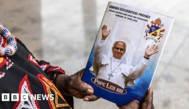 Pope Leo in Africa: Cameroon separatists to pause fighting ahead of pontiff's visit - BBC