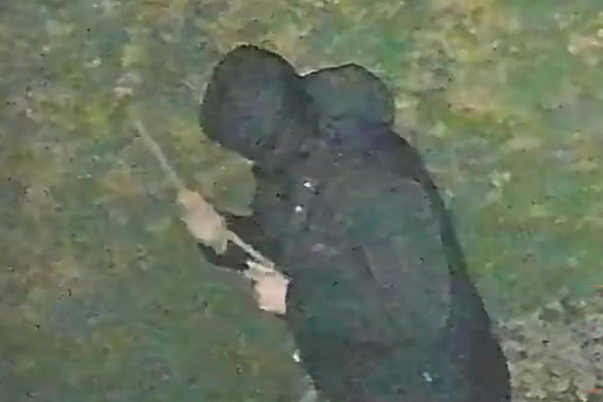 Man jailed for religiously aggravated rape of Sikh woman after he followed her home - The Independent