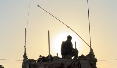 The Blogs: An Olive-Green Seder | Tuvia Book