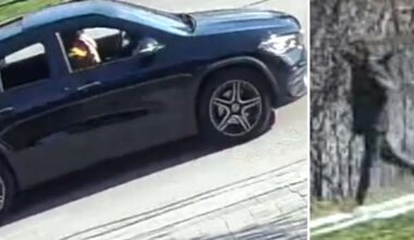 Girl grabbed by stranger in woods in Vaughan: Suspect sought