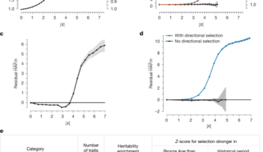 Ancient DNA reveals pervasive directional selection across West Eurasia