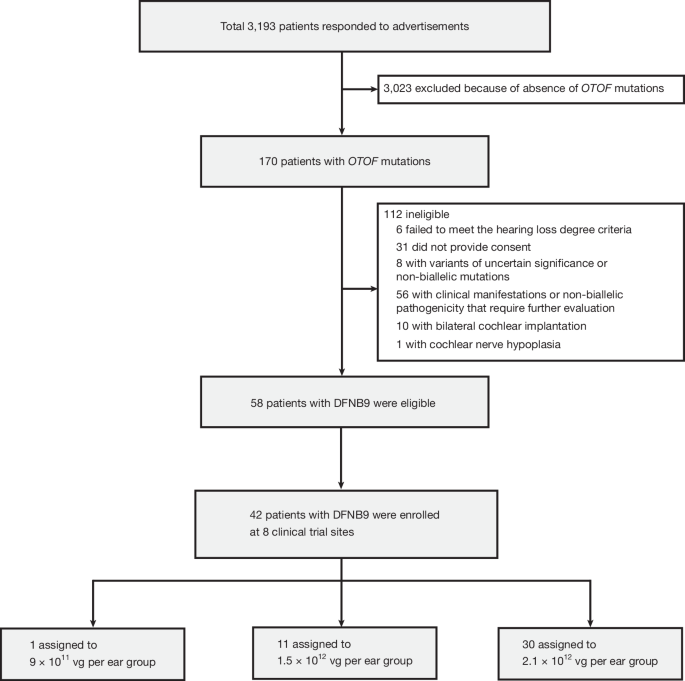 Multicentre gene therapy for OTOF-related deafness followed up to 2.5 years