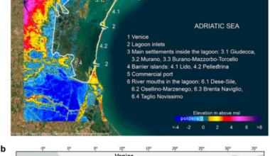 Long-term adaptation pathways for Venice and its lagoon under sea-level rise