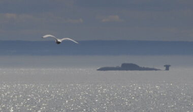 UK and Norway expose Russian operation near undersea infrastructure