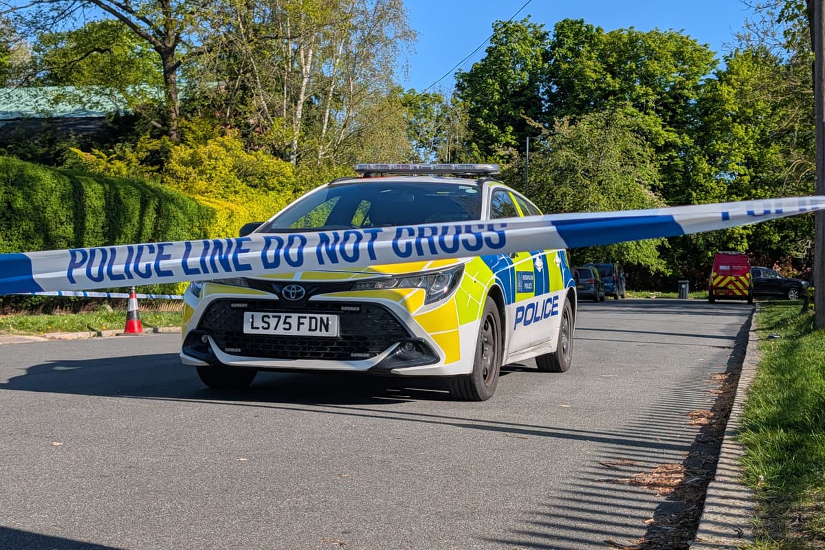 Boy, 17, pleads guilty to arson attack on synagogue in north London - London Evening Standard