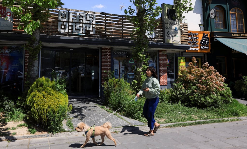 An Iranian woman walks her dog on a street in Tehran during the ceasefire on Wednesday. Photo: Reuters