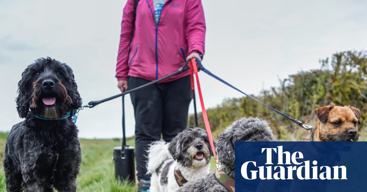 Over-the-counter pet flea treatments could be banned under new UK rules | Pesticides