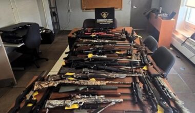 Ontario man prohibited from possessing firearms arrested after police seize 53 long rifles - CTV News